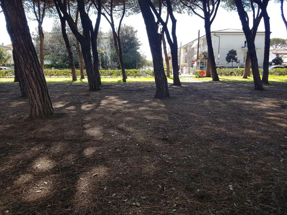 Il Don Minzoni 98 "Casa Vacanze" Lido di Camaiore Ngoại thất bức ảnh